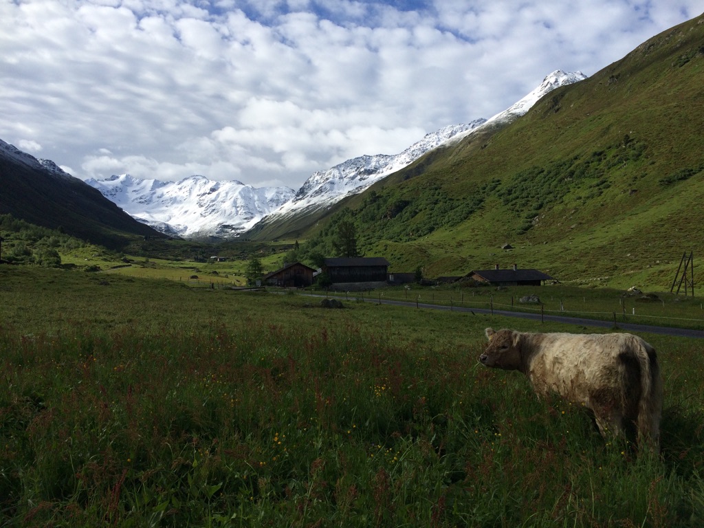 Gàska im Dischma (Davos)